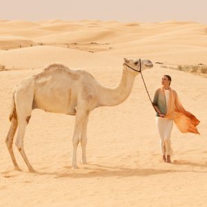 ALBA Orange & terre 3