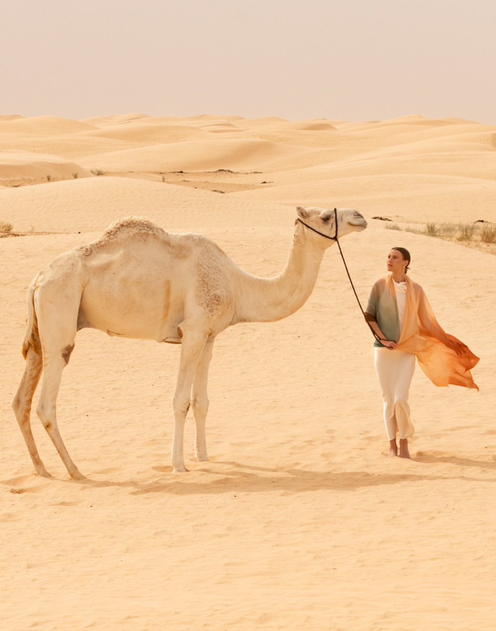 ALBA Orange & terre 3